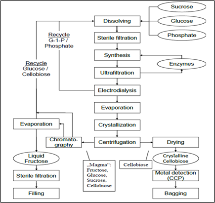 Figure 3. Manufacturing flow scheme for Cellobiose. G-1-P is  glucose-1-phosphate; Critical Control Point (CCP) is a sifter with metal detection.