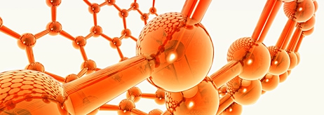 ACNFP banner ACNFP banner
